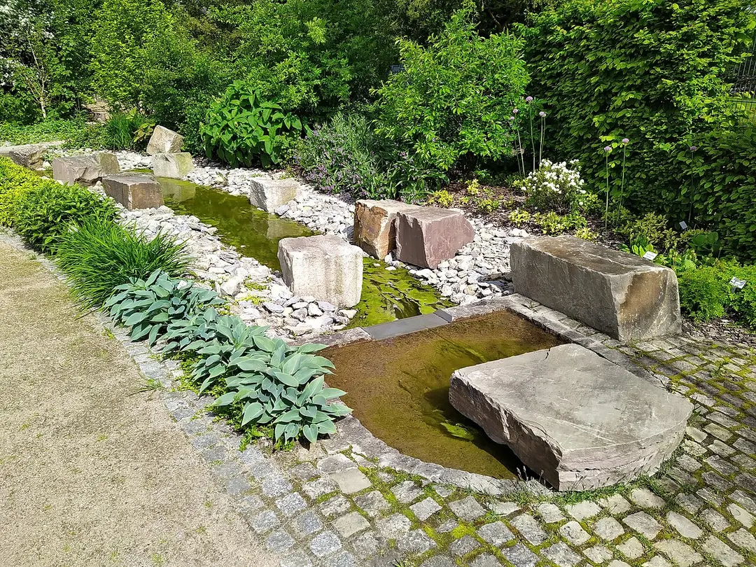 Botanischer Garten im Stadtpark