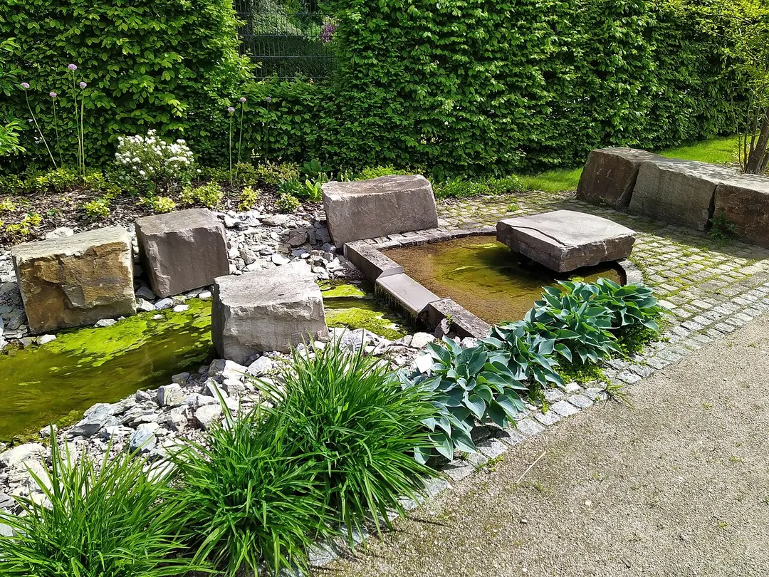 Botanischer Garten im Stadtpark