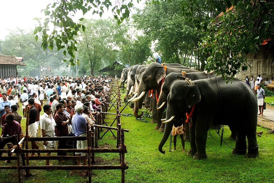Sree Vadakkumnathan Temple