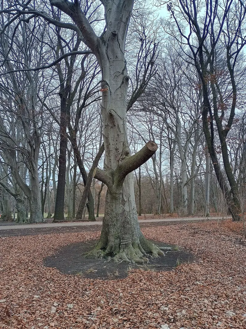 Treptower Park