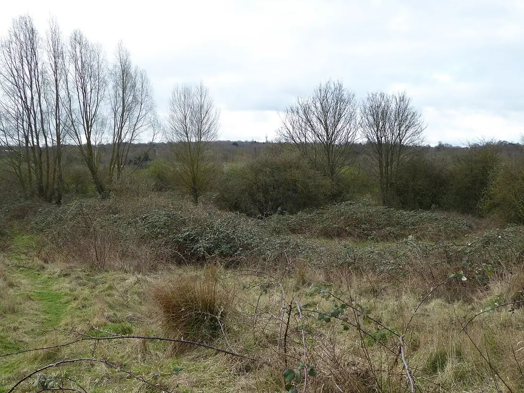 Storton's Pits