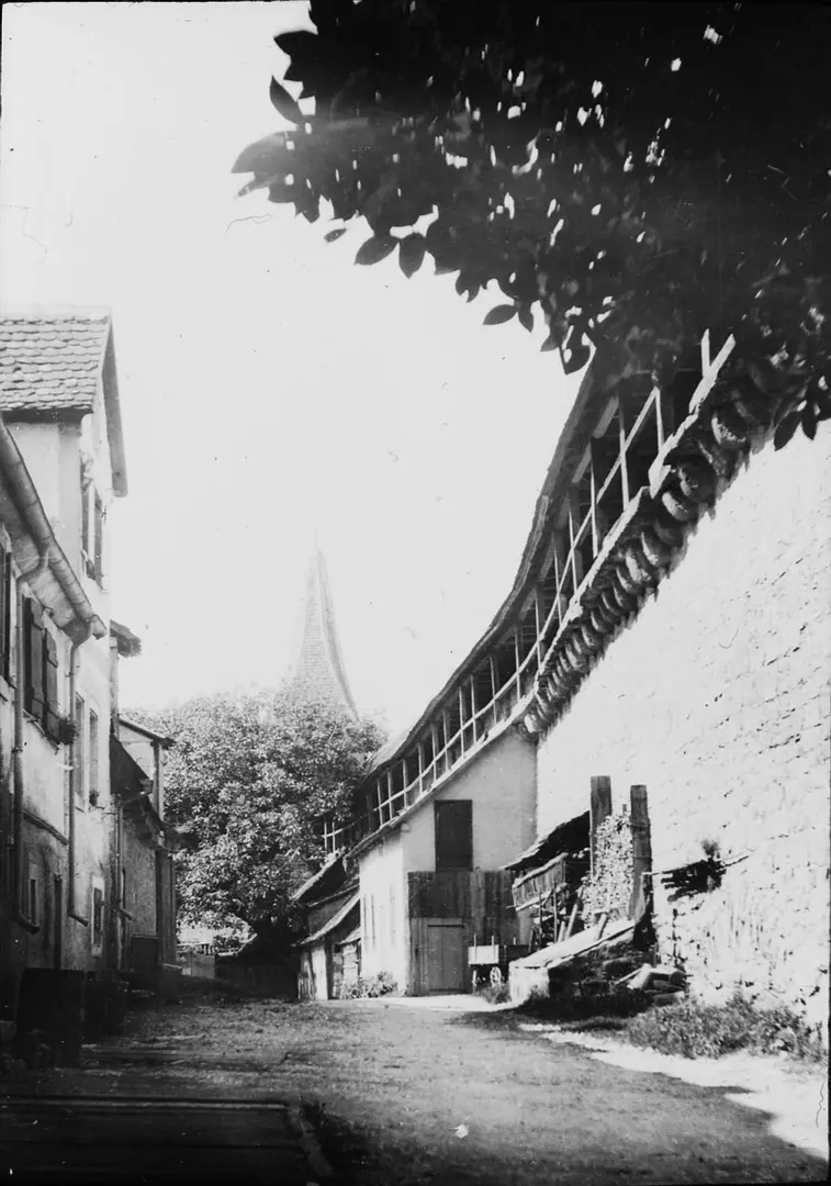 Kummereck
