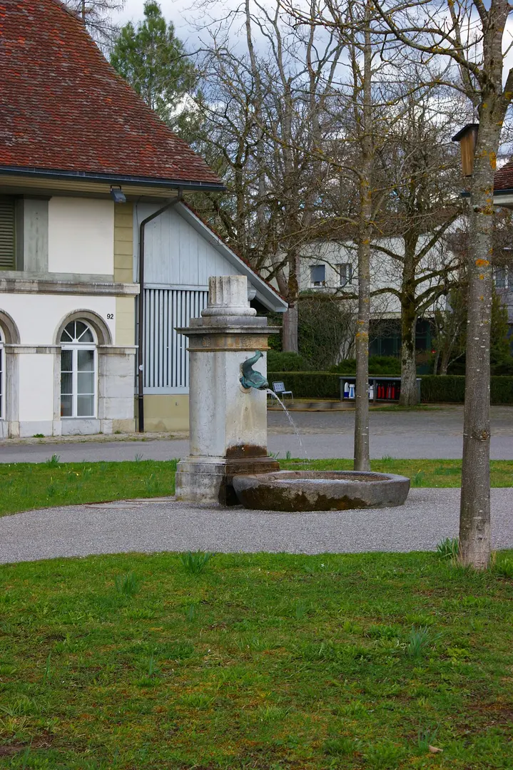 Hofbrunnen Elfenau