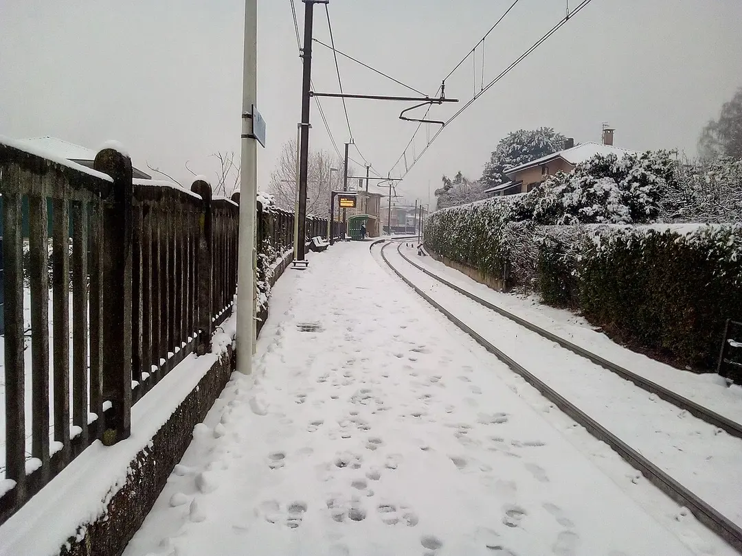 Morosolo-Casciago