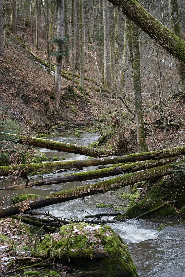 Bäretswil