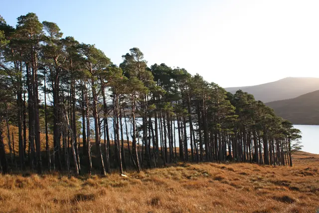 Loch Fannich
