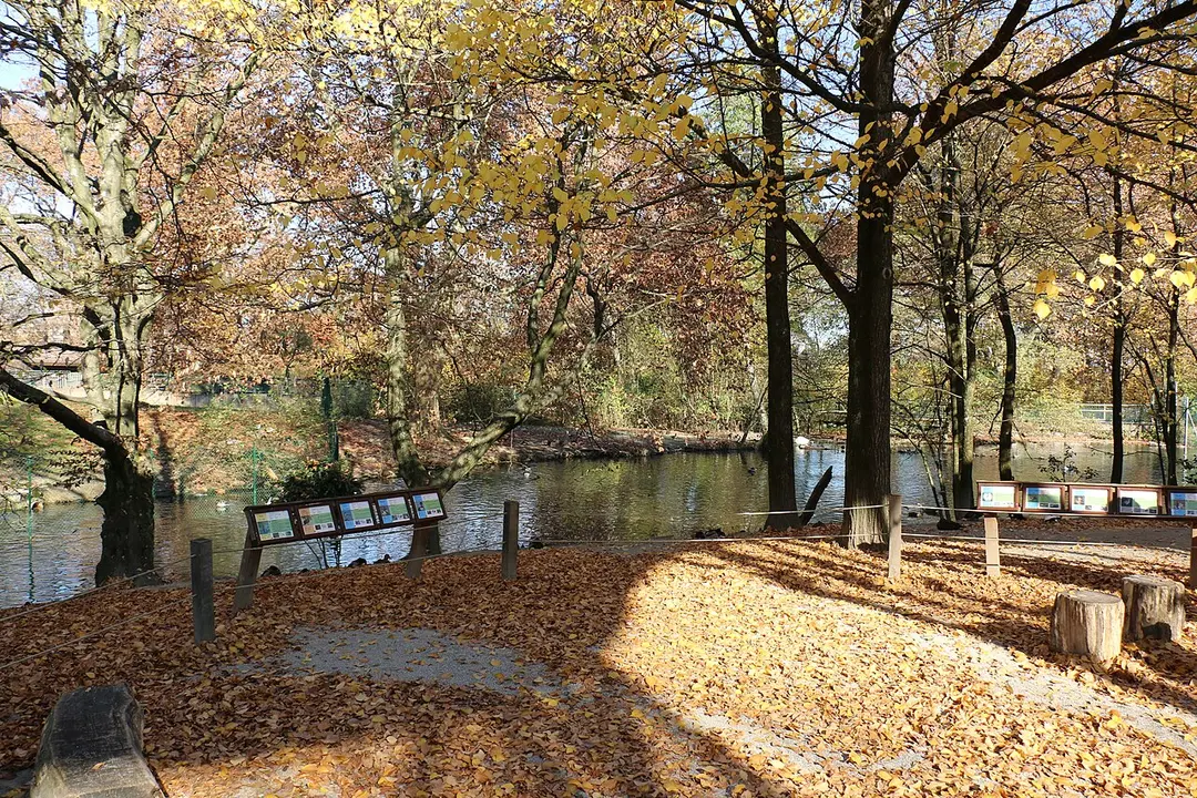 Parc aux animaux