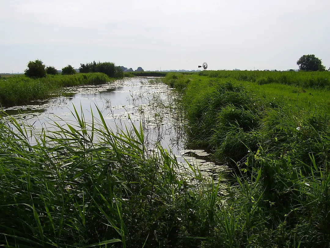 Brandemeer, Weststellingwerf