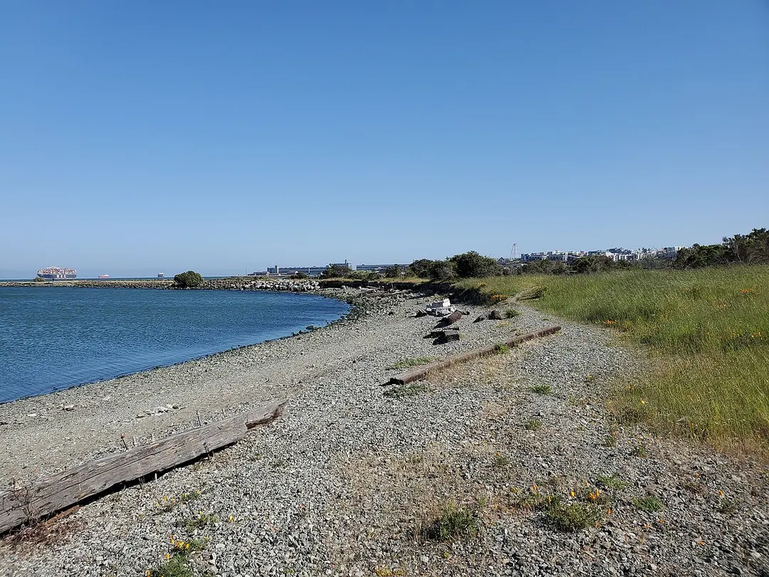 Heron's Head Park