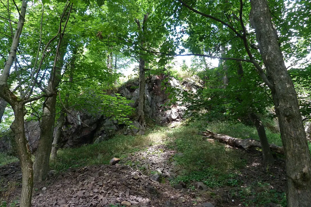 Rogowiec Castle