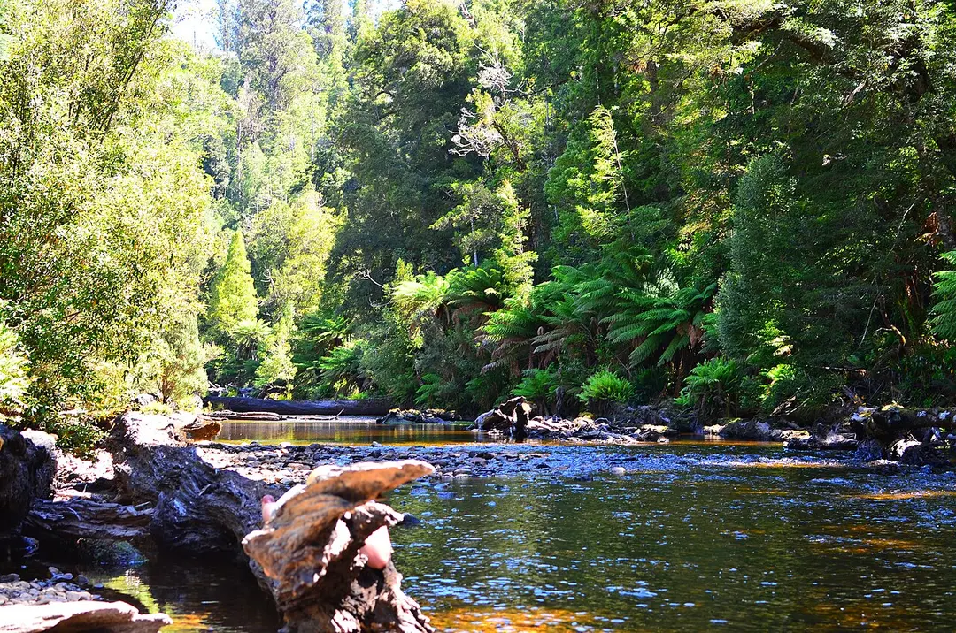 Styx River
