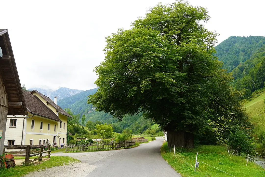 Hauskapelle Ramsau 34