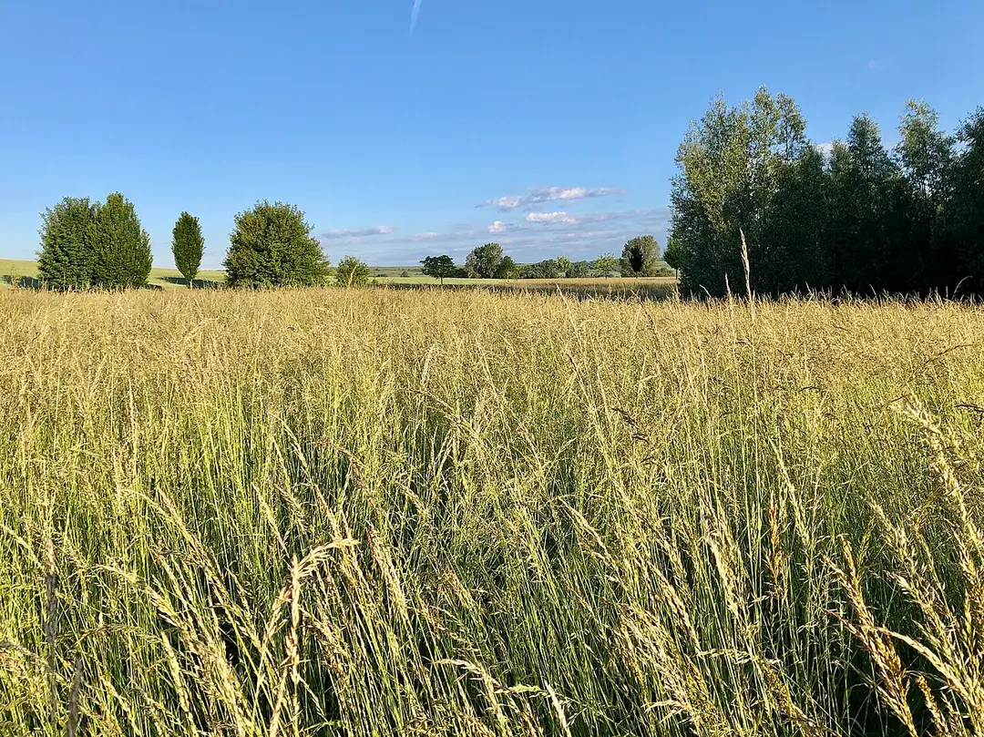 Am Totenweg