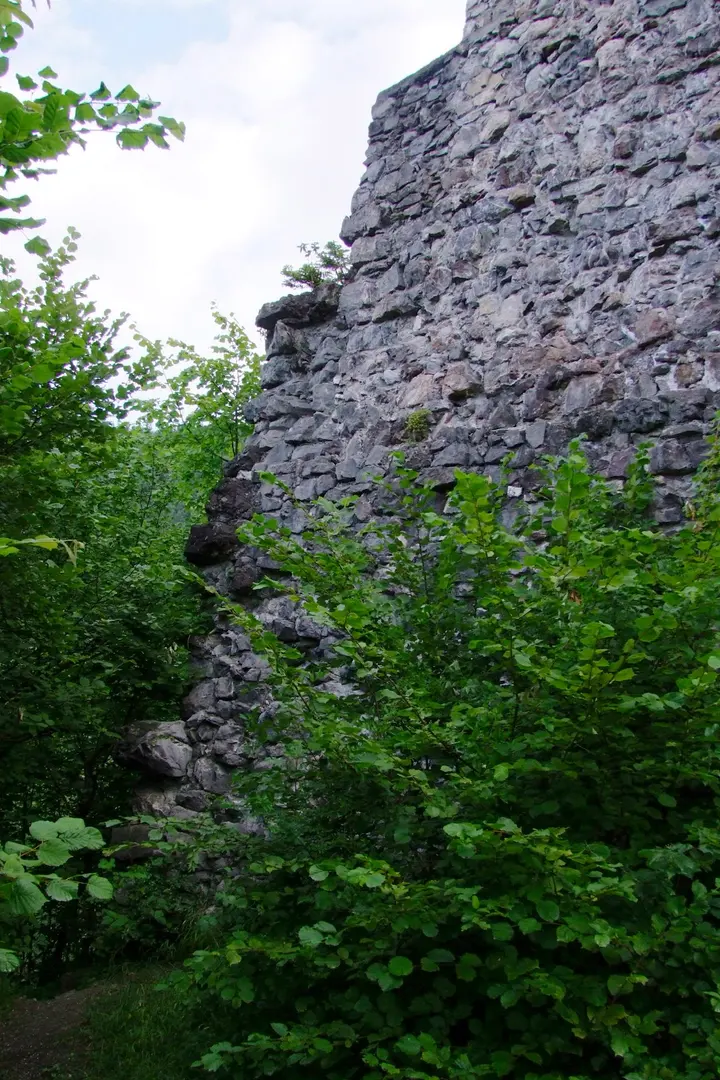 Burgruine Sonnenberg