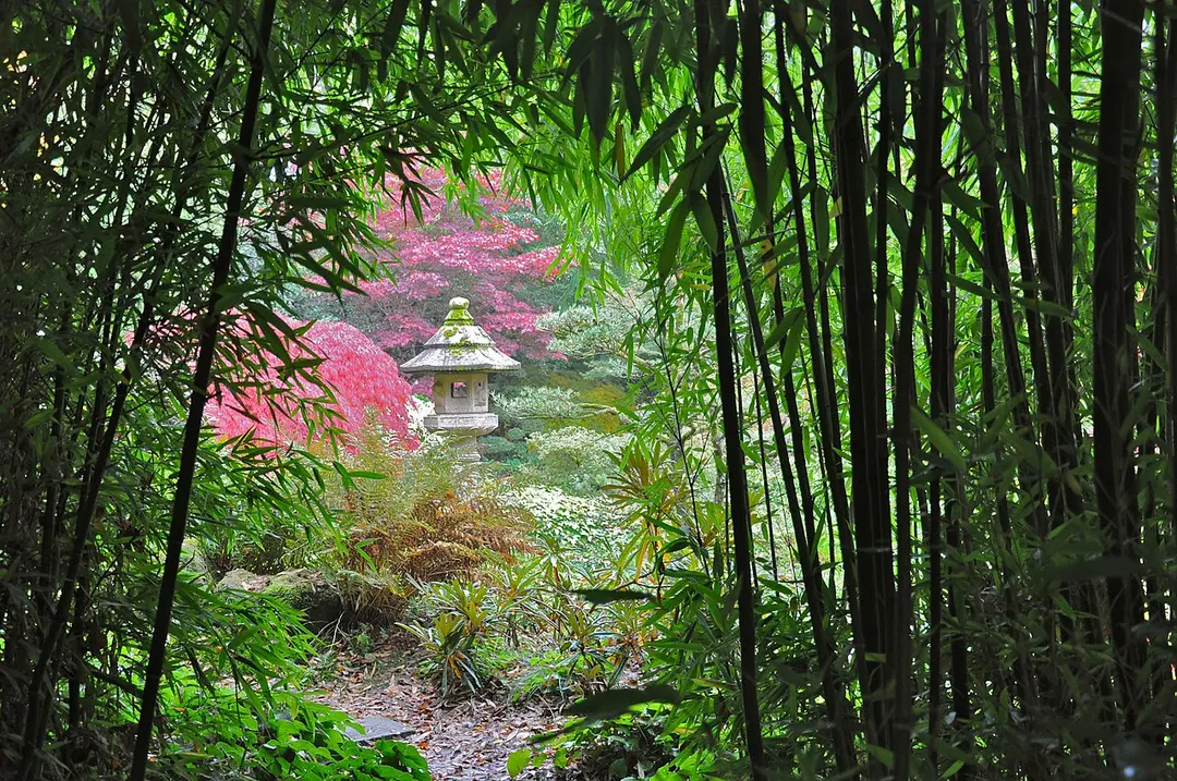 Jardin du soleil Levant