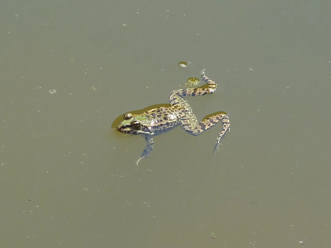 Beglik Tash
