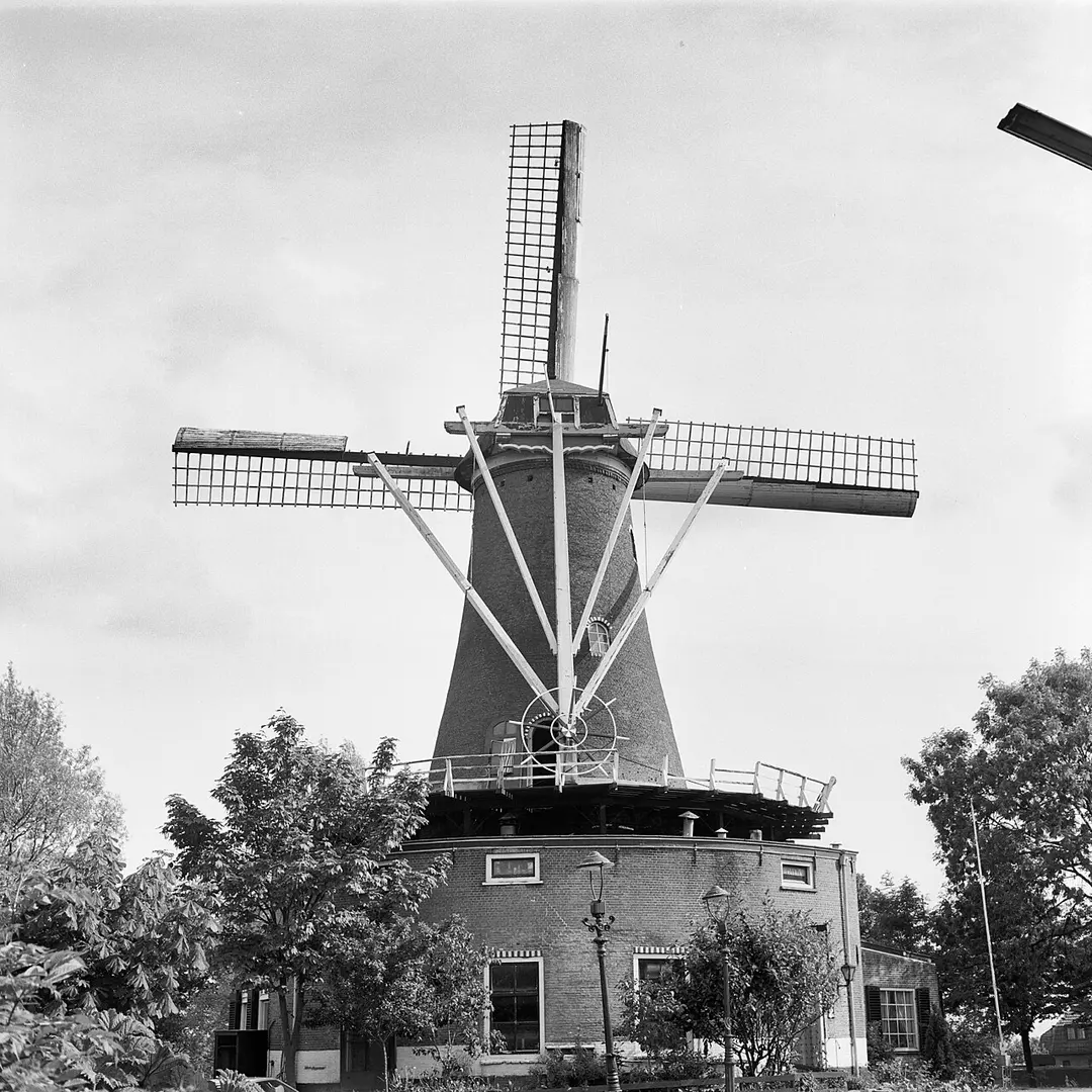 Bernisse Molen