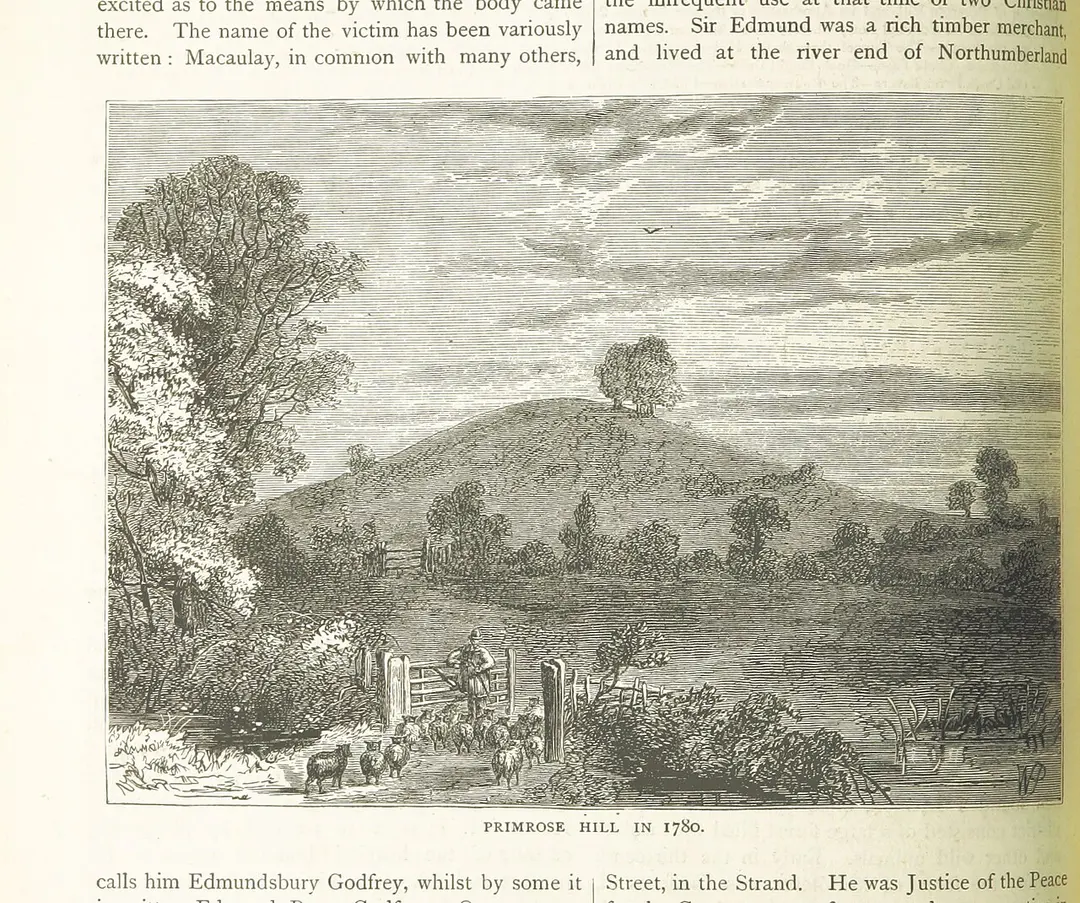 Primrose Hill