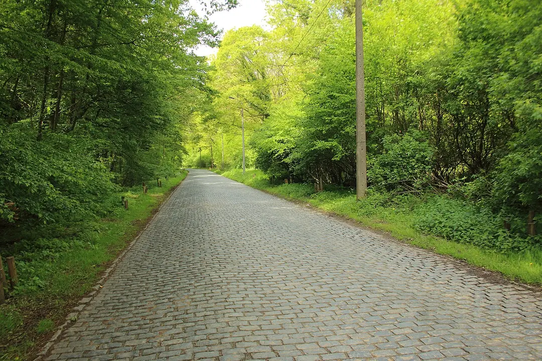 Bosberg