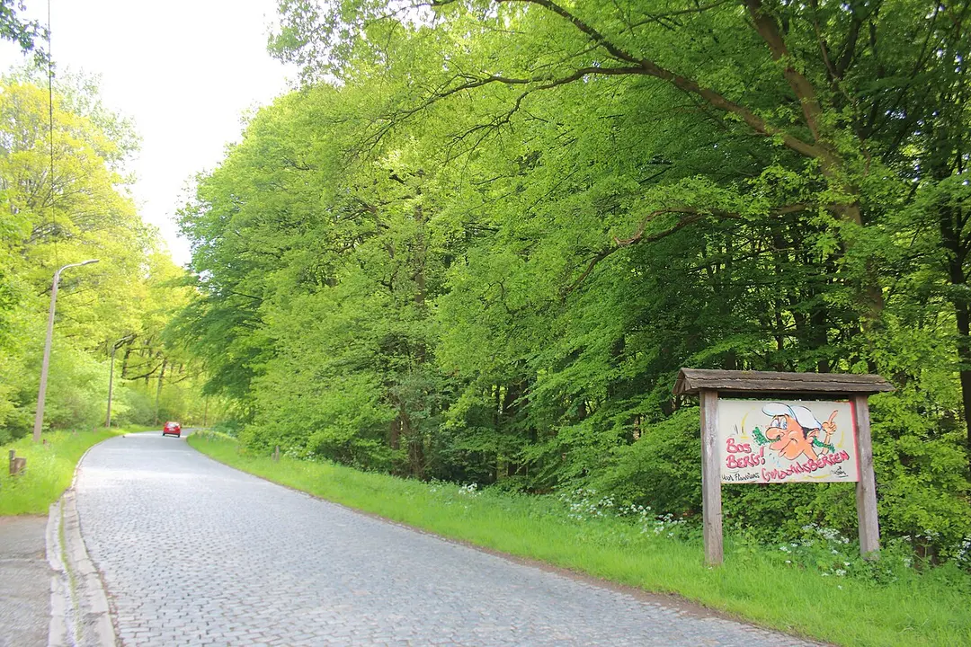 Bosberg