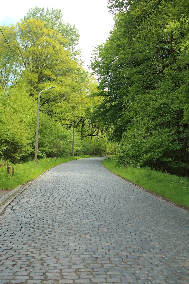 Bosberg