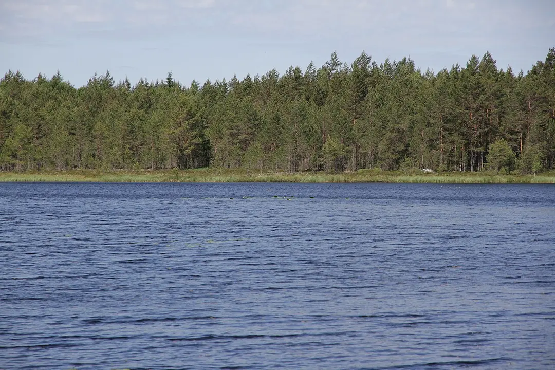 Hirvijärvi