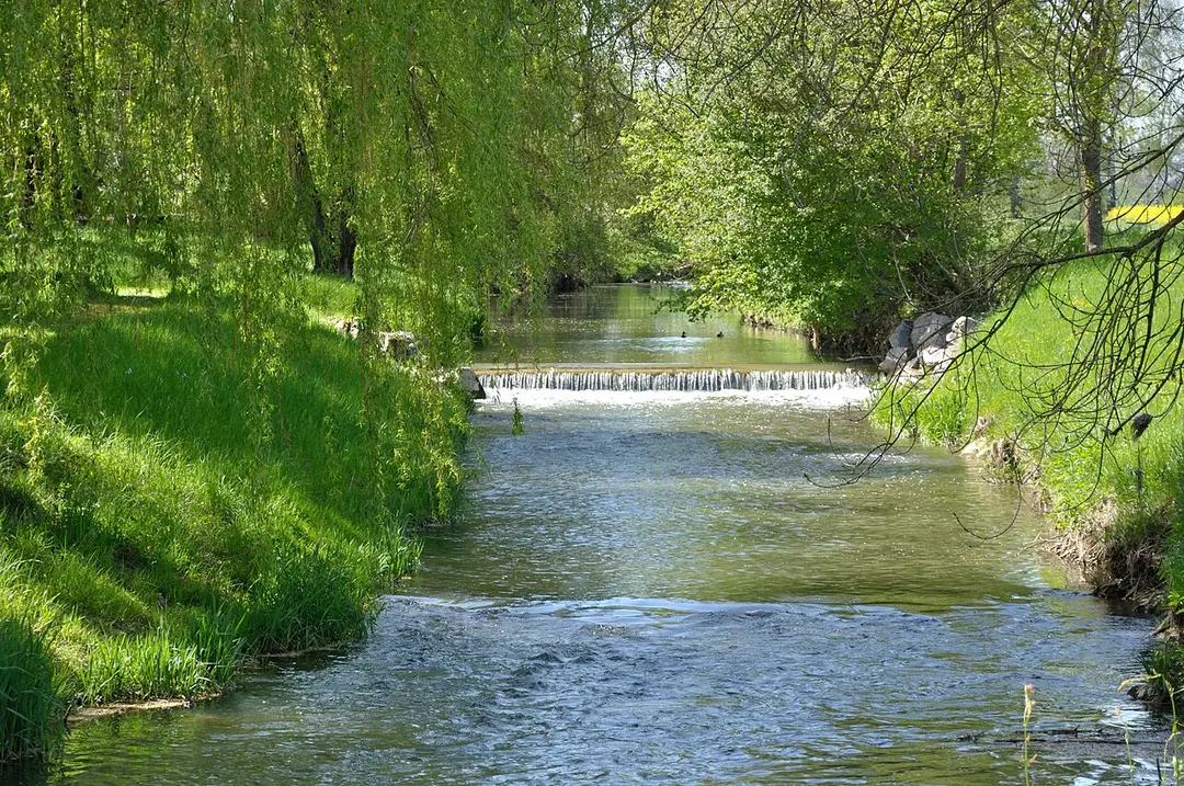 Biber
