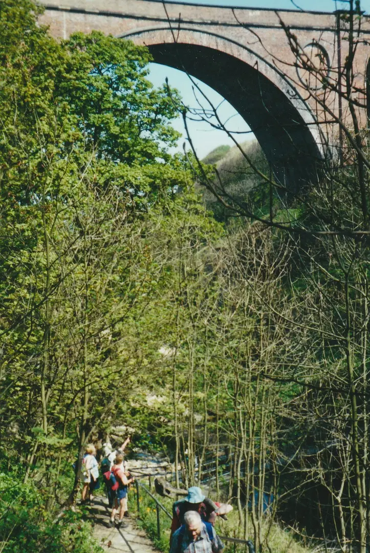 Hawthorn Dene Viaduct