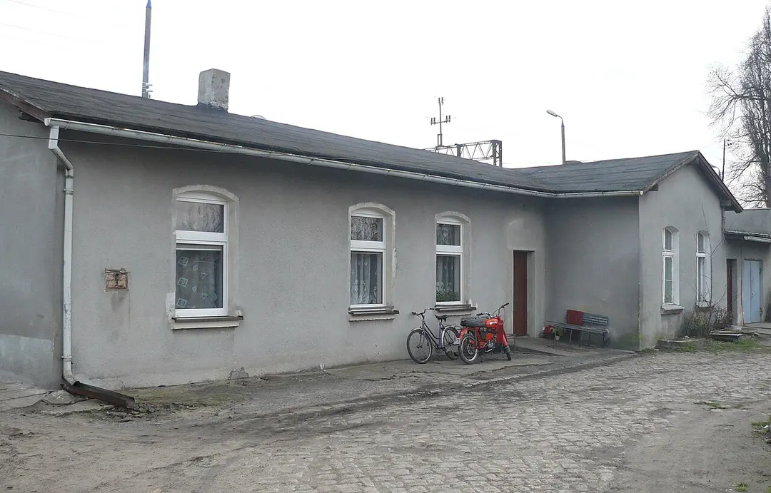 Zieleń