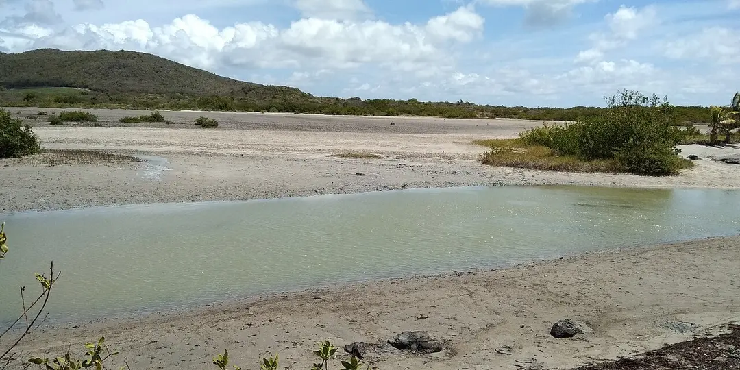 Morne des Pétrifications