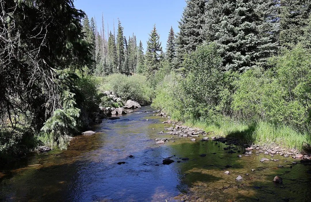 South Fork Rio Grande