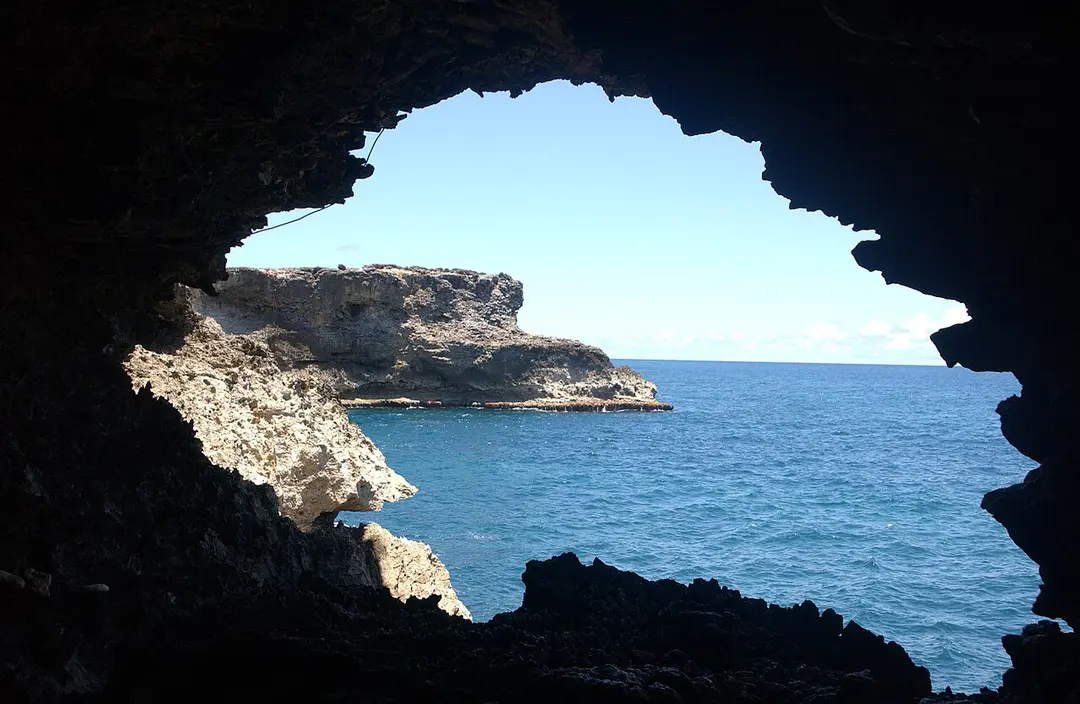 Animal Flower Cave