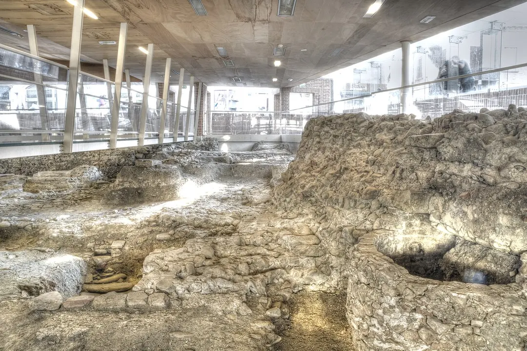 Domus del chirurgo