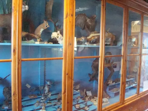 Museo di scienze naturali