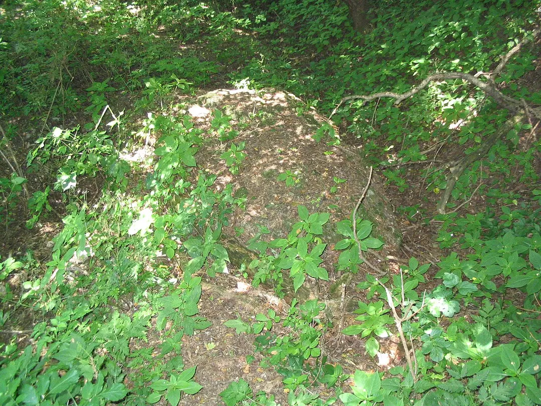Fort IXa Przy Krzyżu
