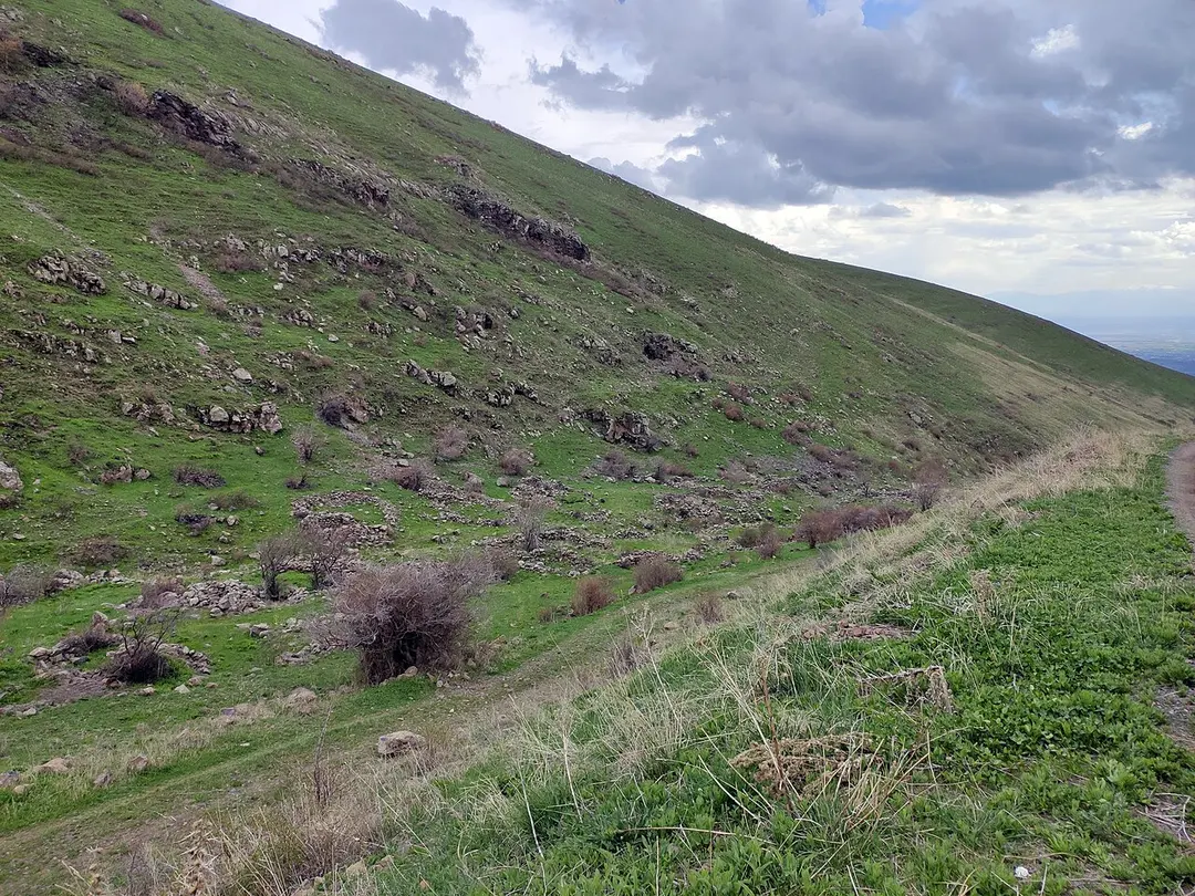 Արայիլեռ