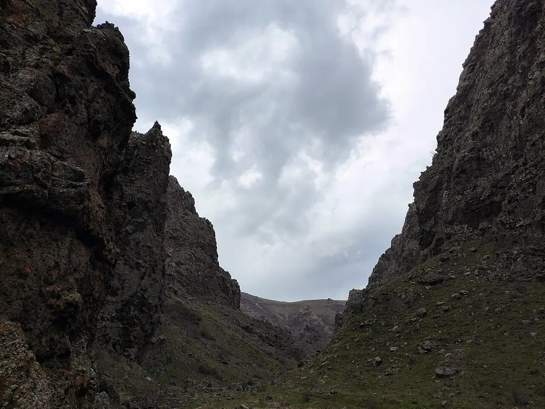 Արայիլեռ