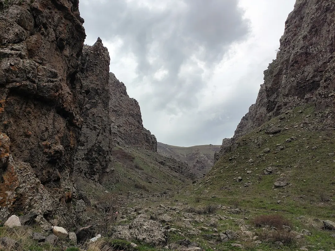 Արայիլեռ