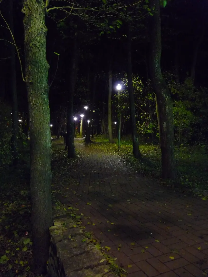 Lepistiku Park