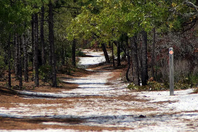 Carolina Beach State Park