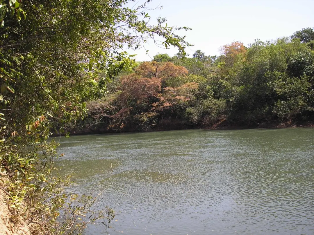 São Marcos River