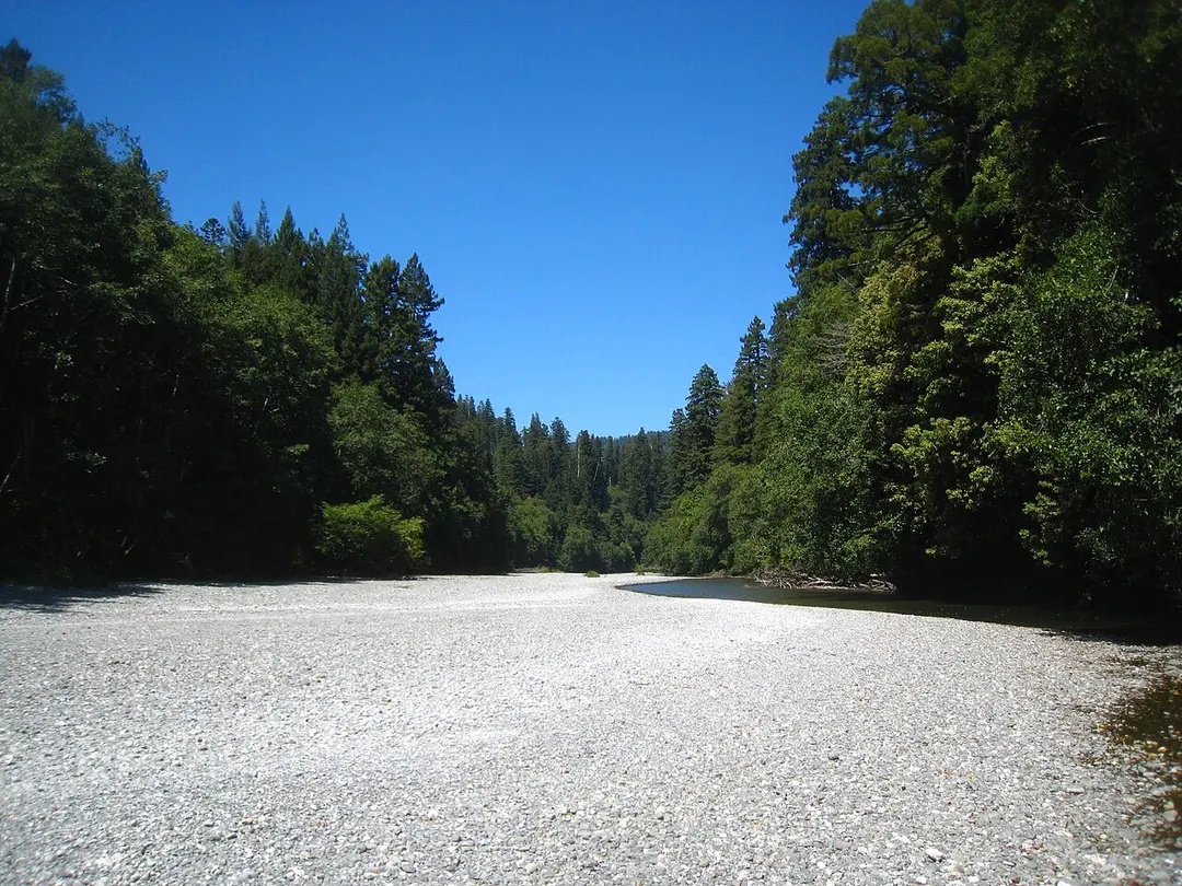 Redwood Creek