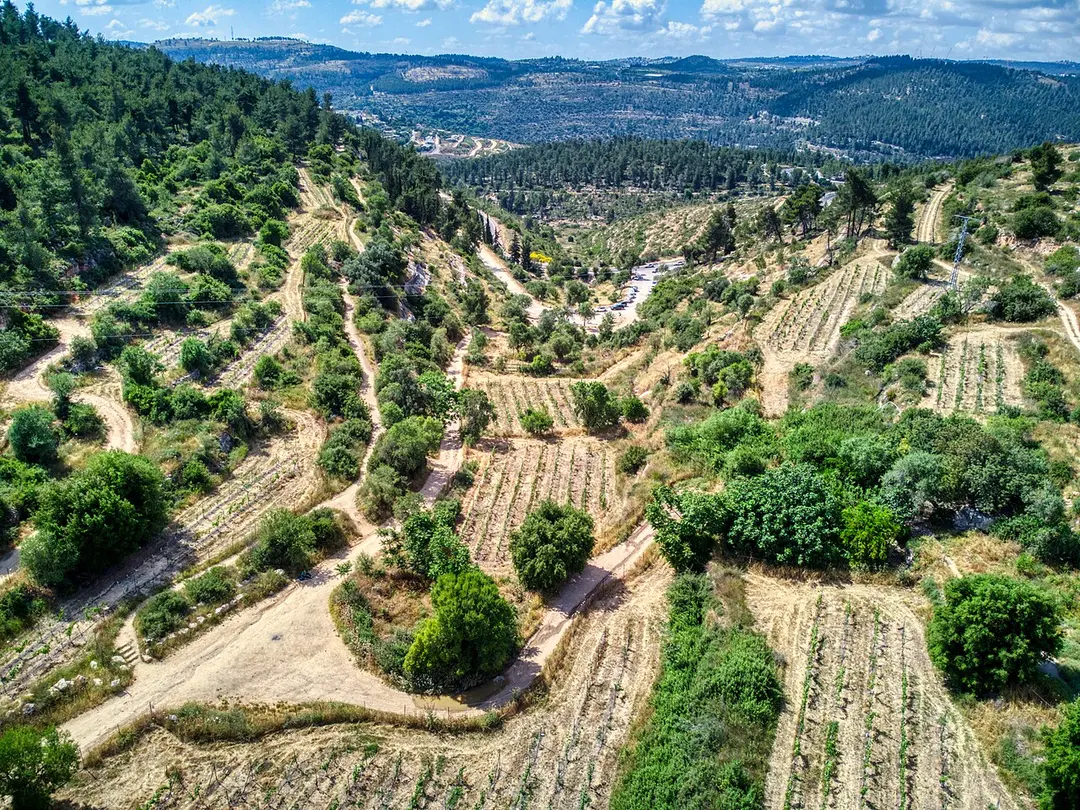Al-Jura
