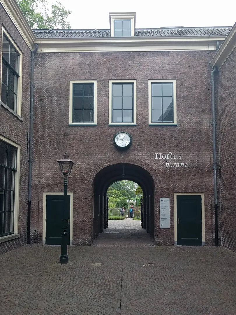 Hortus botanicus Leiden