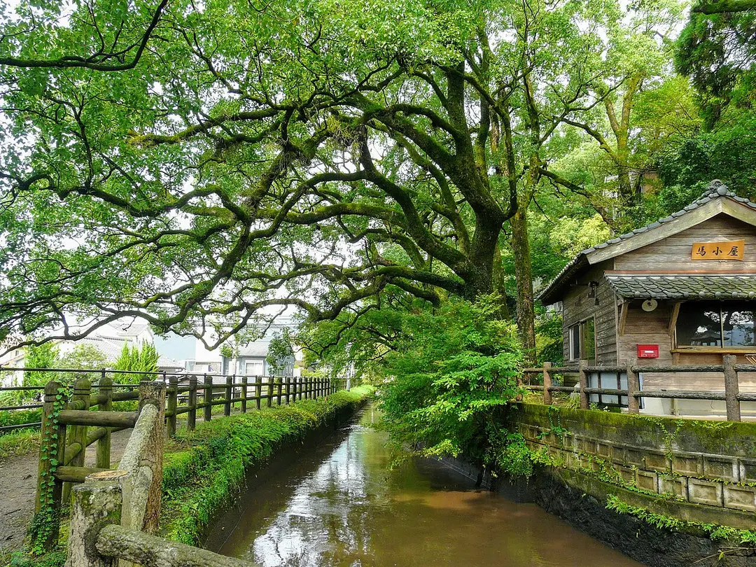 Kagoshima Shrine