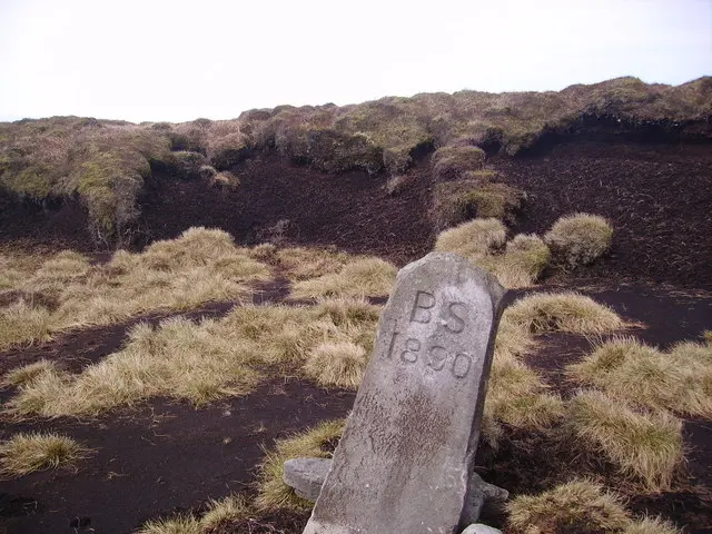 Ward's Stone (West)