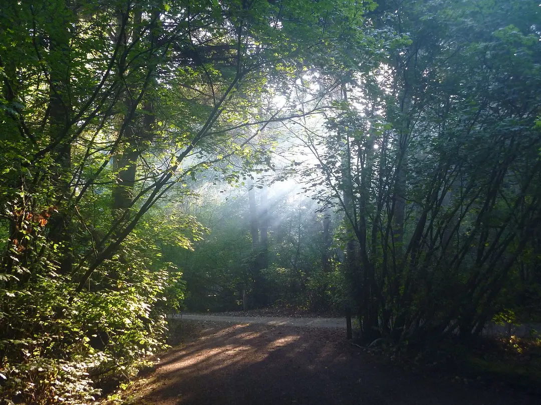 Birch Bay State Park