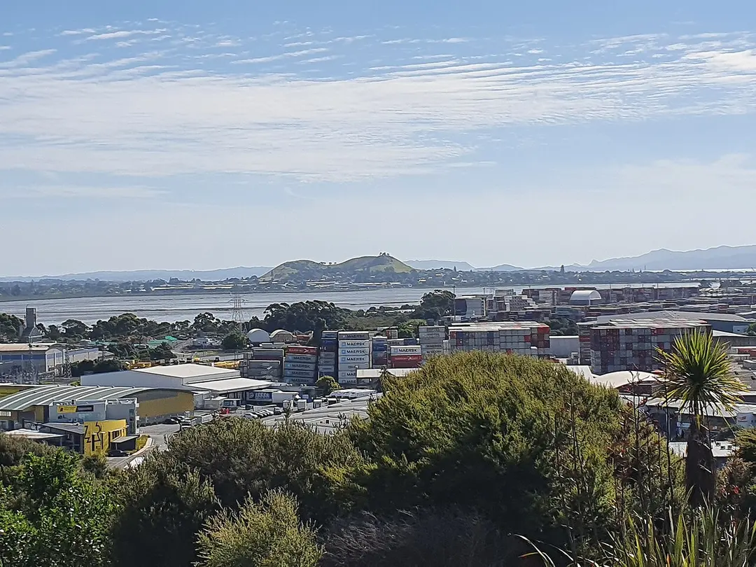 Mutukaroa / Hamlins Hill Regional Park