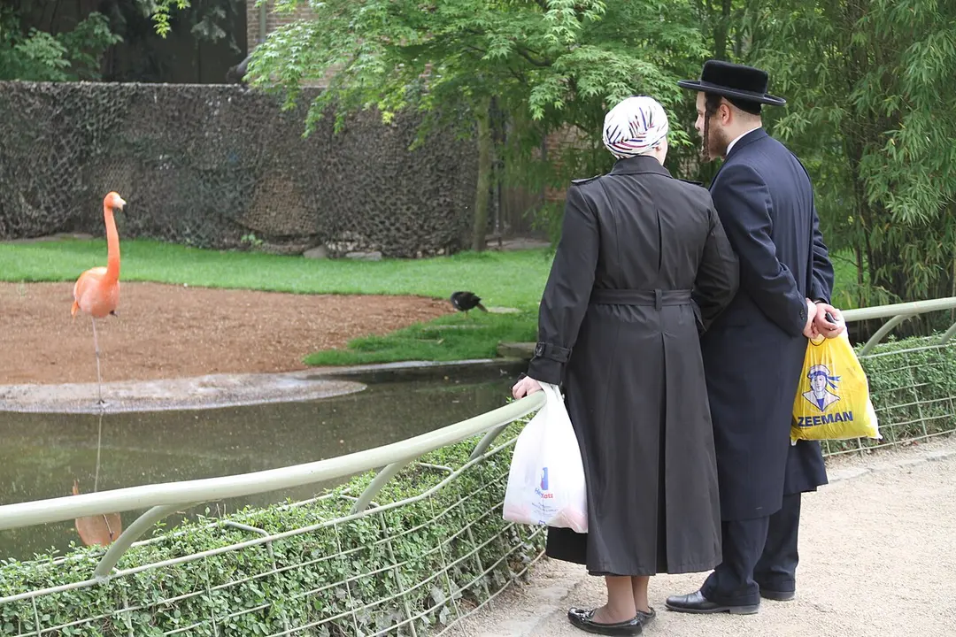 Zoo Antwerpen