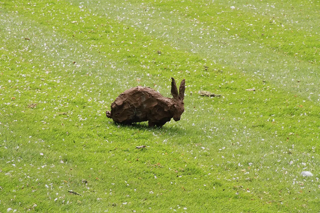 Zoo Antwerpen